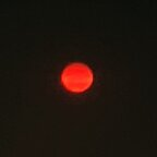 all_g00d Profile Picture