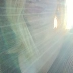 artemisa_libre Profile Picture