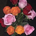 bexxx16 Profile Picture