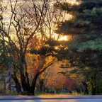 bighoss63 Profile Picture