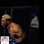 brocksteelix Profile Picture
