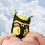 brynbutfans Profile Picture