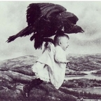 butterflyeffect Profile Picture