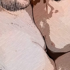 chubbyandchaser Profile Picture