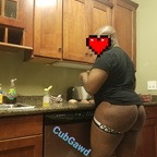 cubgawd Profile Picture