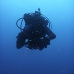 d0129899 Profile Picture