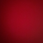 david.carole Profile Picture