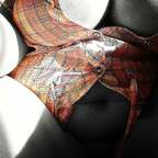 dirtypanties Profile Picture