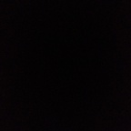 fofoo Profile Picture