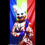 freecorruption Profile Picture