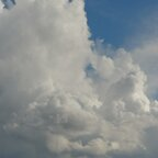 jonny_uc Profile Picture