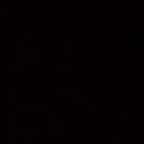 lucky_nuevo Profile Picture