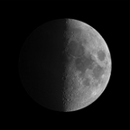 lumina Profile Picture
