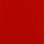 notshotty Profile Picture