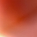 phantasmsix Profile Picture