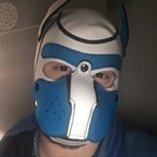 pupquinn21 Profile Picture