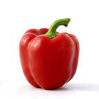 redpaprika Profile Picture