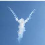 rosexxwater Profile Picture