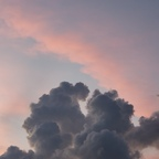 sawftdaddypurrp Profile Picture