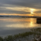 thereavenger Profile Picture