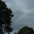 thiccbabyem Profile Picture