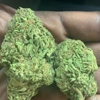 thtnigg95 Profile Picture