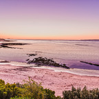 trophydoll Profile Picture