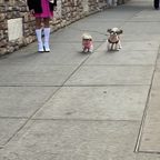 u175932131 Profile Picture