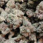 u24004959 Profile Picture