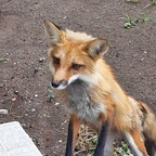 u29387753 Profile Picture