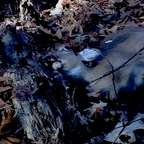 u32609279 Profile Picture